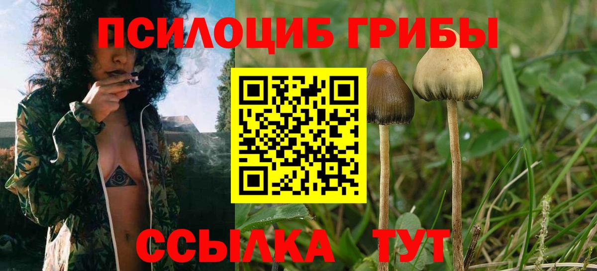 Минусинск  Псилоцибиновые грибы Psilocybine cubensis  цена наркотик  Вход с VPN 